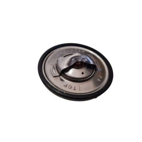 RENAULT 19 1.7 TERMOSTAT 24100.90