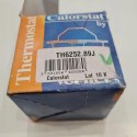 OPEL CHEVROLET TERMOSTAT CALORSTAT TH6252.89J