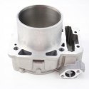 CAN-AM SPYDER RS RT RSS CYLINDER