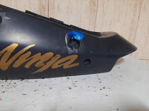 OGON ZADUPEK OWIEWKA KAWASAKI ZX12R